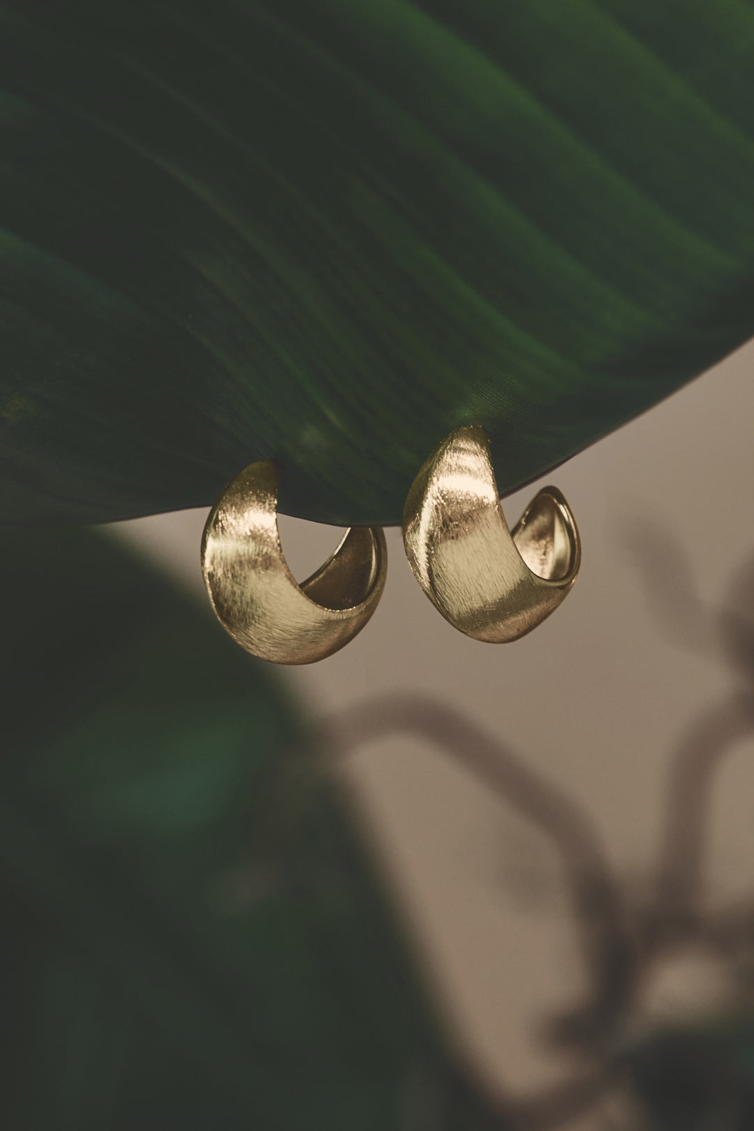 Hoop Earrings Circle Casual Daily Simple Series Women's jewelry